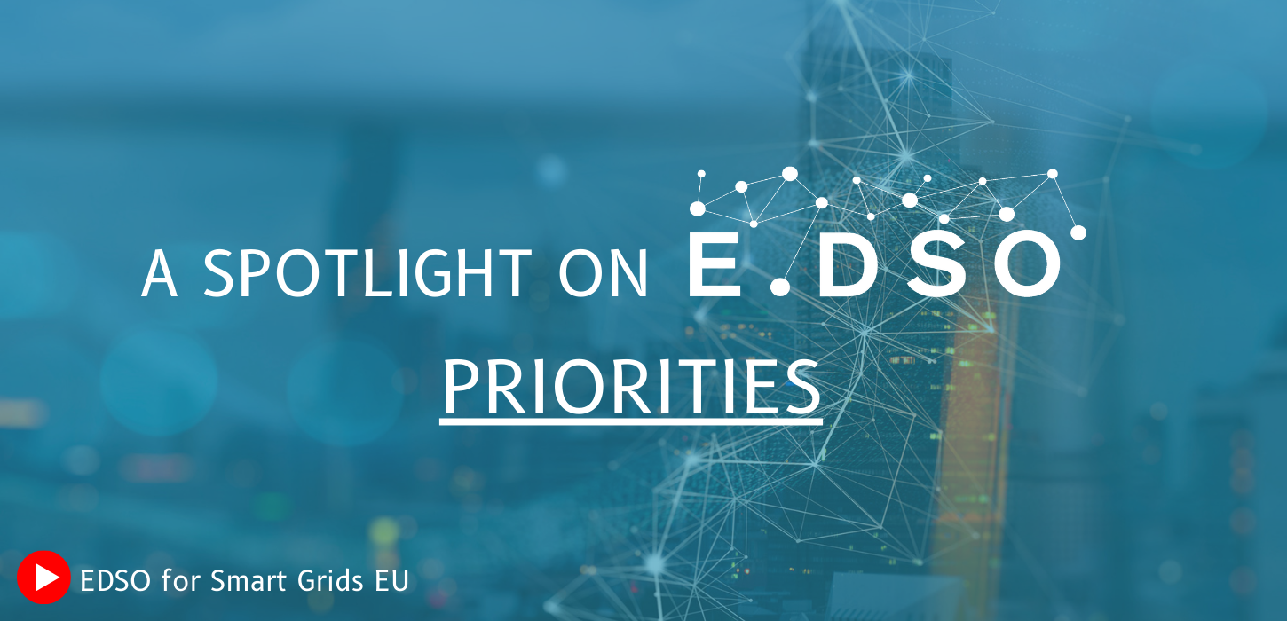 A Spotlight on E.DSO Priorities 