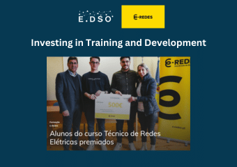 10. e redes investing in training and development