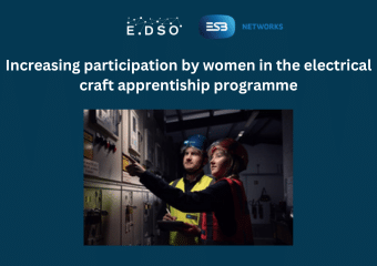 12. esb increasing participation by women in the electrical craft apprentiship programme