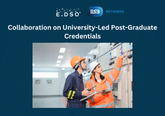 13. esb collaboration on university led post graduate credentials