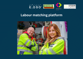 16. stedin alliander labour matching platform