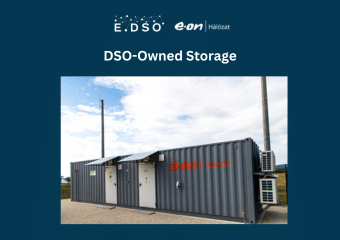 24. dso owned storage 24. dso owned storage