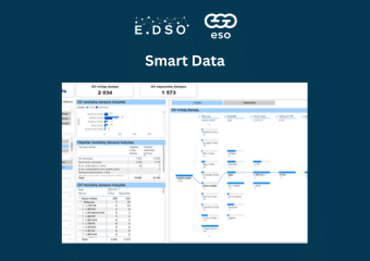 24. smart data