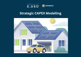 26. strategic capex modelling
