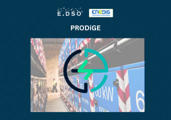 36. prodige