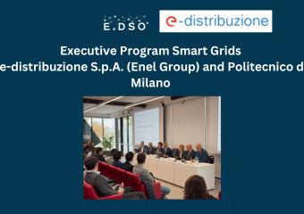 4 enel italy executive program smart grids