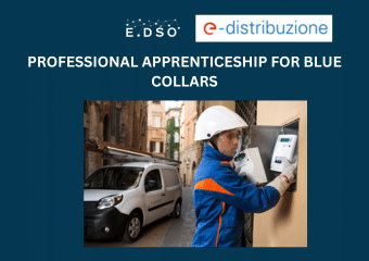 5 enel italy professional apprenticeship