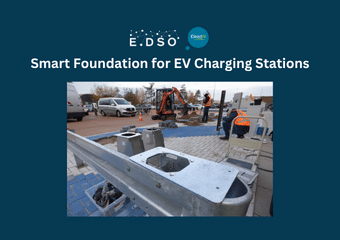 elaadnl the netherlands smart foundation for ev charging stations