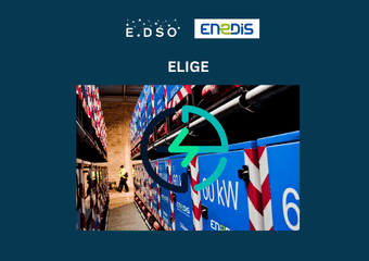 enedis france elige