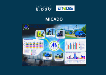 enedis france micado