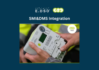 eso lithuania smi&dms integration