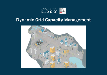 netz nÖ austria dynamic grid capacity management