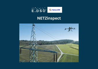 netze bw germany netzinspect