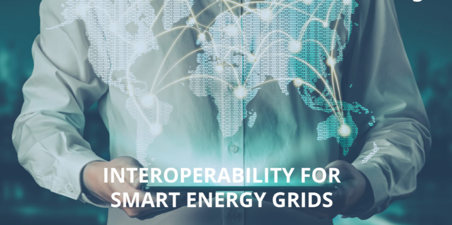 Interoperability and distribution grids - a diamond in the rough