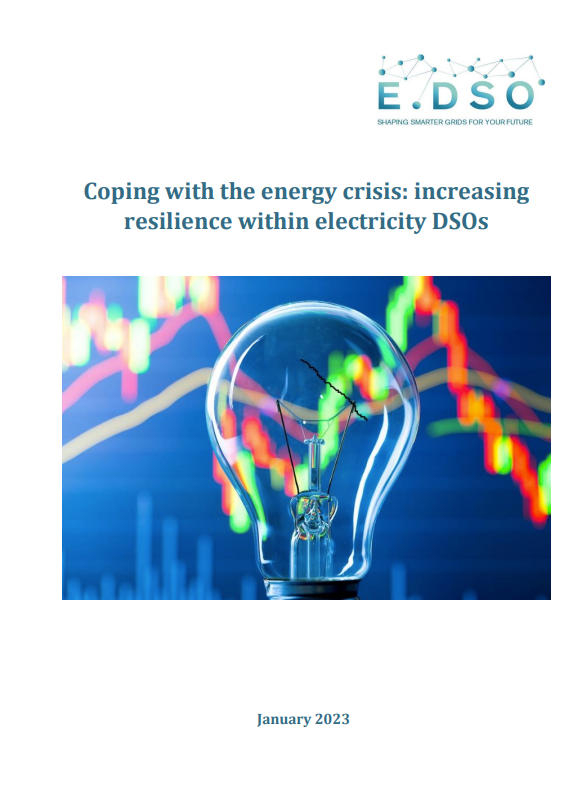 Coping with the energy crisis: increasing  resilience within electricity DSOs