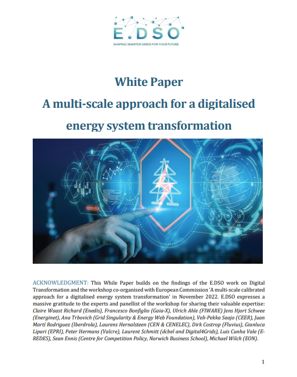 White Paper: A multi-scale approach for a digitalised  energy system transformation