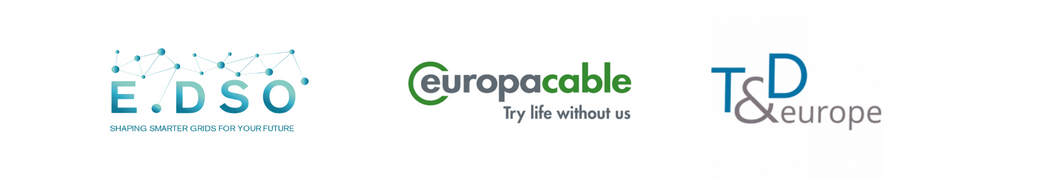 E.DSO/Europacable/T&D Europe Webinar