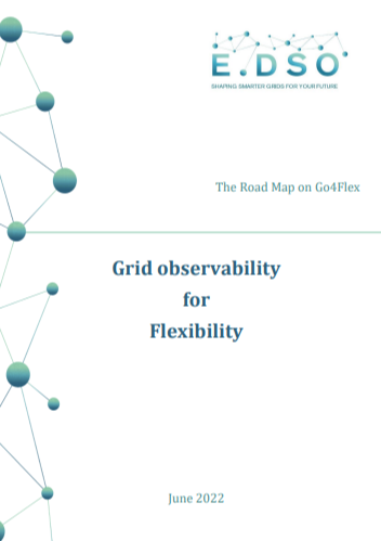 Grid observability for Flexibility Report